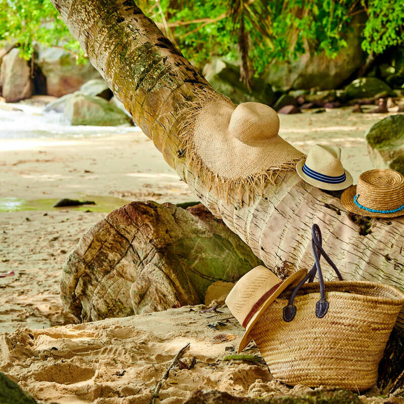 Beach bag and hats by palm tree at Mahe, Seychelles.