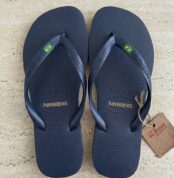 Navy_blue_flip-flops_on_background_202606291752